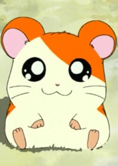 Hamtaro Anime Planet Hamtaro Anime Planet