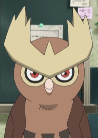 Noctowl | Anime-Planet